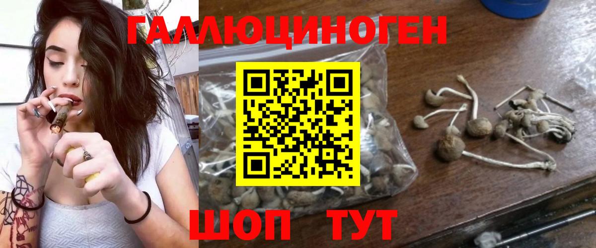Псилоцибиновые грибы мицелий  Вход с VPN  Сосновоборск 